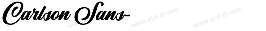 Carlson Sans字体转换